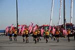Dcim5656/DSC_0626