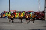 Dcim5656/DSC_0647