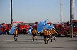 Dcim5656/DSC_0665