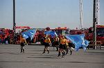 Dcim5656/DSC_0666