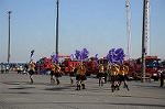 Dcim5656/DSC_0684