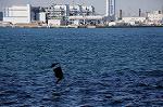 Dcim5658/DSC_0931