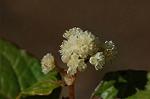 Dcim5660/DSC_6046