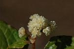 Dcim5660/DSC_6047