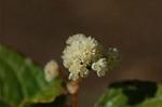 Dcim5660/DSC_6049