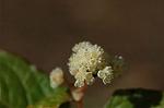 Dcim5660/DSC_6051