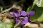Dcim5660/DSC_6061