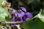 Dcim5660/DSC_6062