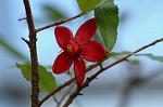 Dcim5660/DSC_6123