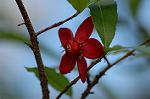 Dcim5660/DSC_6124