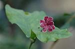 Dcim5660/DSC_6148