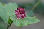 Dcim5660/DSC_6149