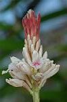 Dcim5661/DSC_6166