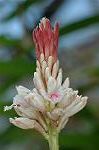 Dcim5661/DSC_6167