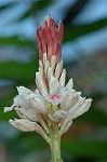 Dcim5661/DSC_6170