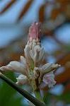 Dcim5661/DSC_6173