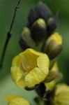 Dcim5661/DSC_6266