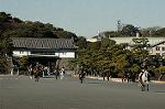 Dcim5662/DSC_6288