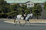 Dcim5662/DSC_6289