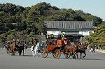 Dcim5662/DSC_6308