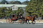 Dcim5662/DSC_6317