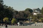 Dcim5662/DSC_6365