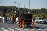 Dcim5664/DSC_0996