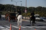 Dcim5664/DSC_0998