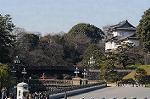 Dcim5664/DSC_1062