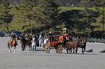 Dcim5664/DSC_1088