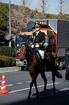 Dcim5665/DSC_1140