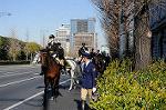 Dcim5665/DSC_1169