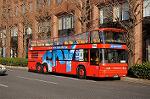 Dcim5666/DSC_1260