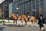 Dcim5670/DSC_0008