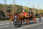 Dcim5670/DSC_0016