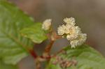 Dcim5671/DSC_6476