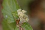Dcim5671/DSC_6477
