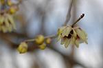 Dcim5671/DSC_6490