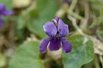 Dcim5671/DSC_6503