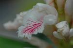 Dcim5671/DSC_6555