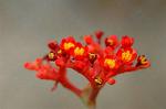 Dcim5671/DSC_6597