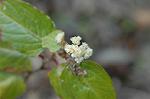Dcim5673/DSC_6627