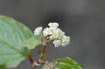 Dcim5673/DSC_6628