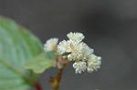 Dcim5673/DSC_6631