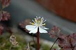 Dcim5673/DSC_6645