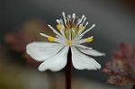 Dcim5673/DSC_6647
