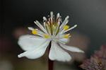 Dcim5673/DSC_6648