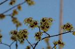 Dcim5673/DSC_6677