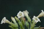 Dcim5673/DSC_6710