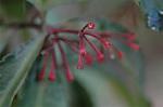 Dcim5673/DSC_6722